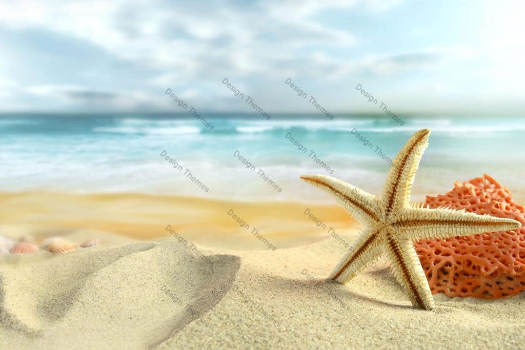 bg1-1024×683 bg1-1024×683 — Boutique Anderias