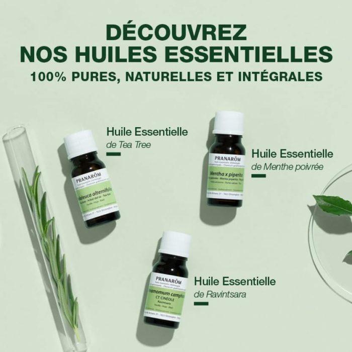 Huile Essentielle de Tea Tree chémotypée – Pranarôm (HECT, 10 ml) – Défenses naturelles – Image 6