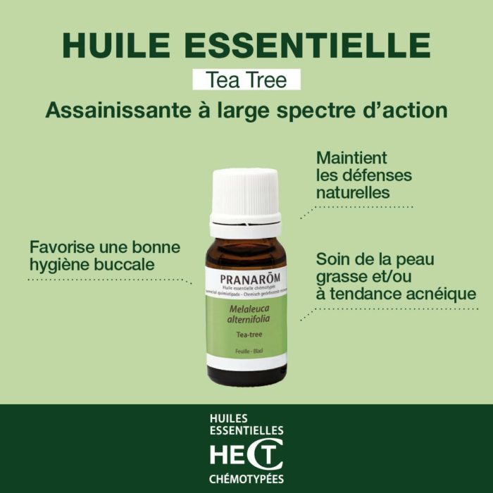 Huile Essentielle de Tea Tree chémotypée – Pranarôm (HECT, 10 ml) – Défenses naturelles – Image 2