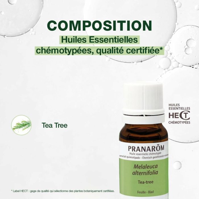 Huile Essentielle de Tea Tree chémotypée – Pranarôm (HECT, 10 ml) – Défenses naturelles – Image 4