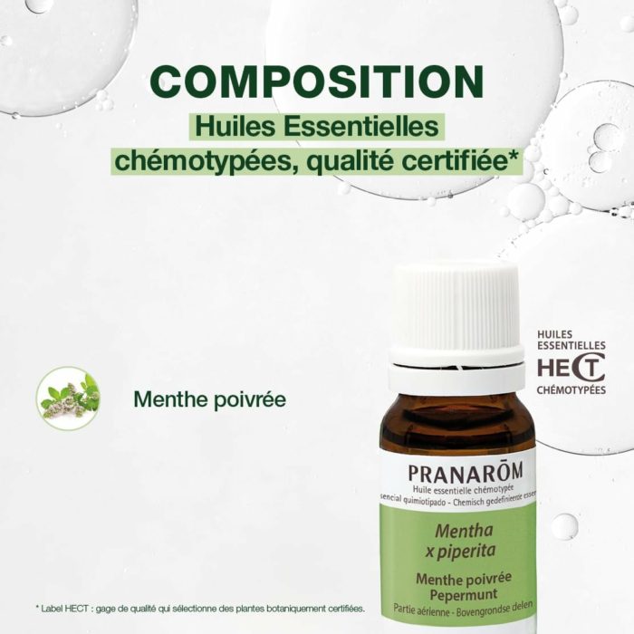 Huile Essentielle de Menthe Poivrée chémotypée – Pranarôm (HECT, 10 ml) – Digestion & Tonus – Image 4