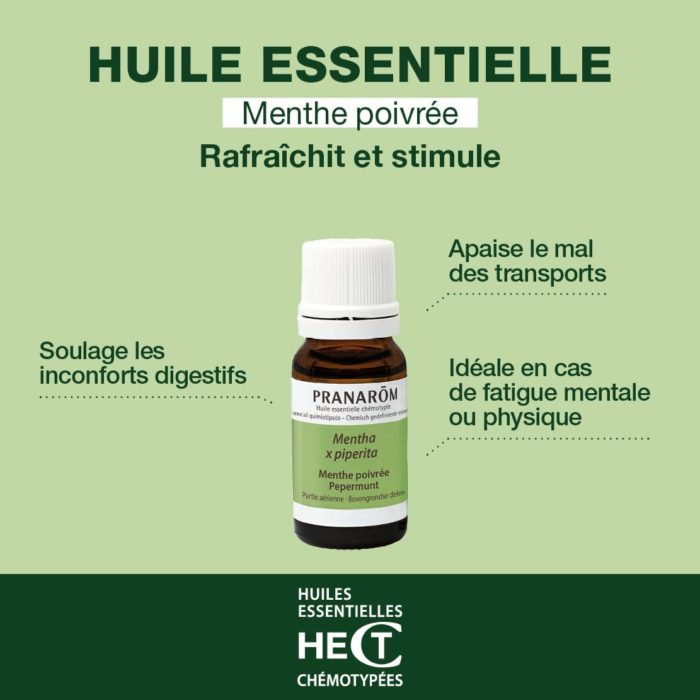 Huile Essentielle de Menthe Poivrée chémotypée – Pranarôm (HECT, 10 ml) – Digestion & Tonus – Image 6