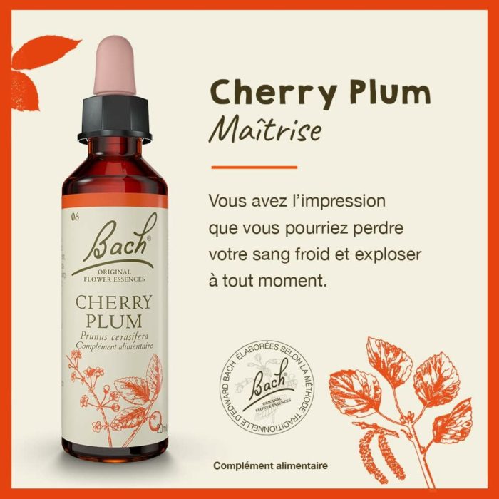 Fleurs de Bach Original – Agrimony (Aigremoine) « Reprendre confiance en ses émotions » – 20 ml – Image 2