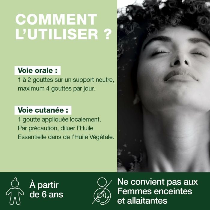 Huile Essentielle de Menthe Poivrée chémotypée – Pranarôm (HECT, 10 ml) – Digestion & Tonus – Image 2