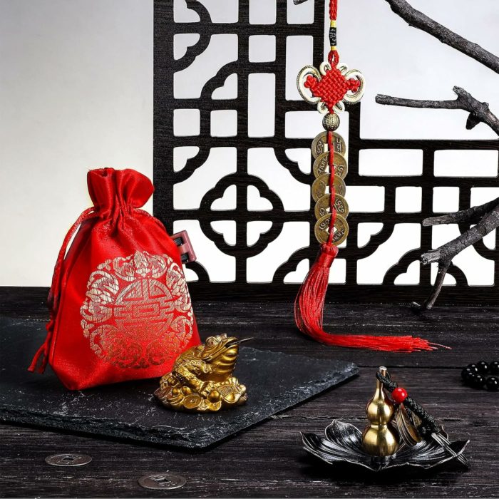 Grenouille d’argent porte-bonheur – Porte-clés Feng Shui (Jin Chan) – Image 7