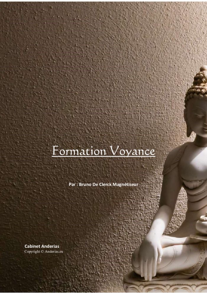 Ebook : Voyance & Cartomancie – Apprenez le tarot, l’oracle et la guidance énergétique — Boutique Anderias